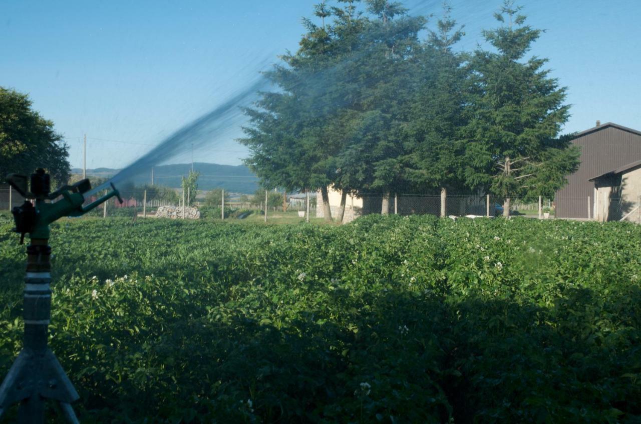 Agriturismo Fiorella Camigliatello Silano Zewnętrze zdjęcie