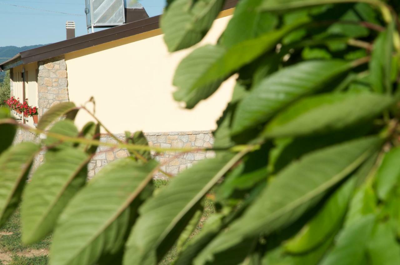 Agriturismo Fiorella Camigliatello Silano Zewnętrze zdjęcie