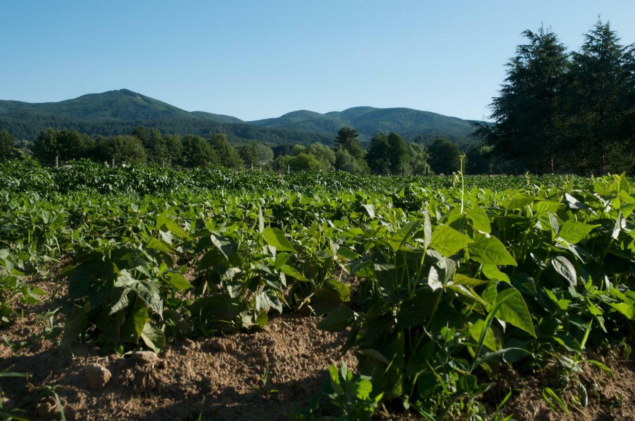 Agriturismo Fiorella Camigliatello Silano Zewnętrze zdjęcie