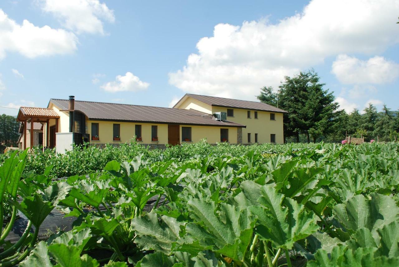 Agriturismo Fiorella Camigliatello Silano Zewnętrze zdjęcie