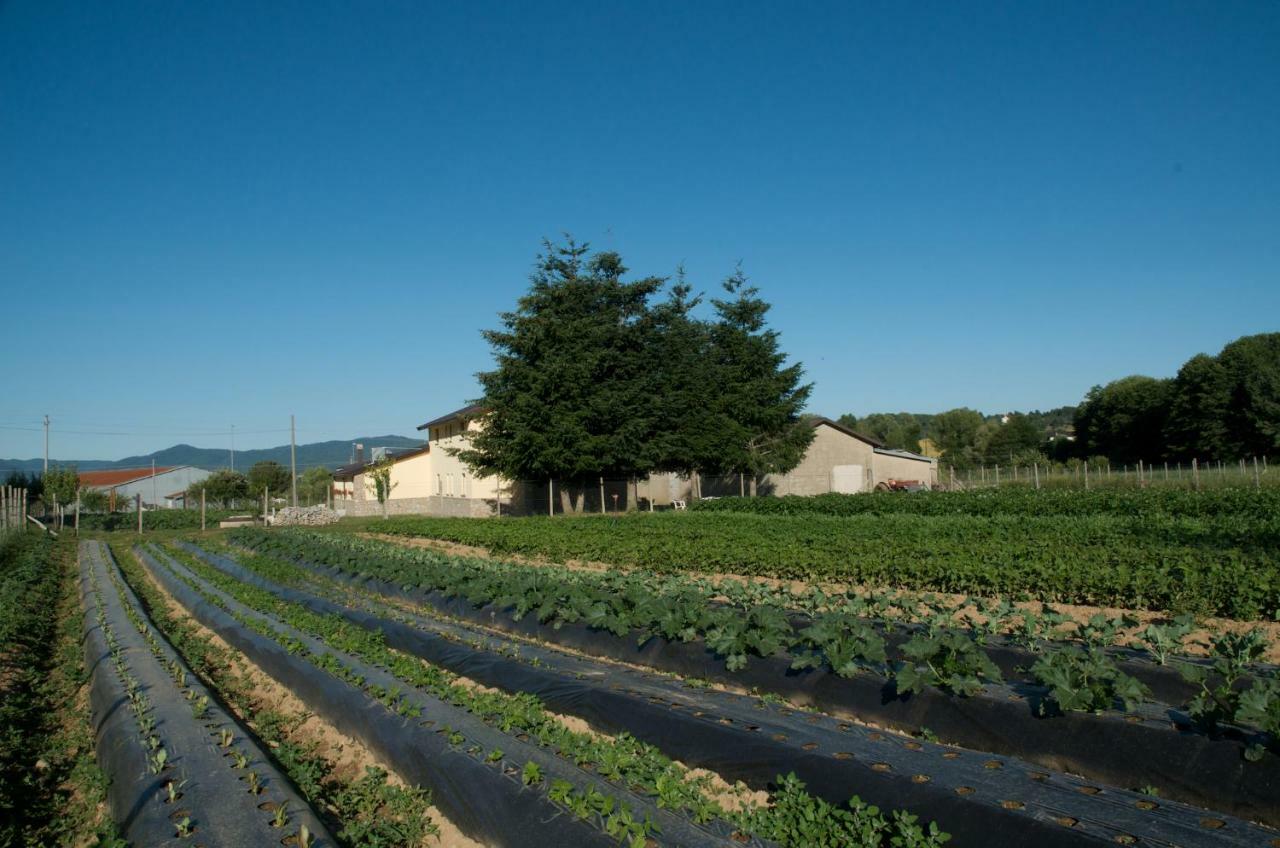 Agriturismo Fiorella Camigliatello Silano Zewnętrze zdjęcie