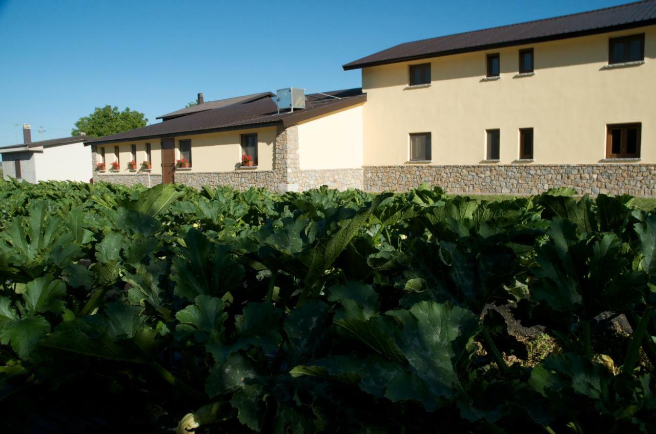Agriturismo Fiorella Camigliatello Silano Zewnętrze zdjęcie