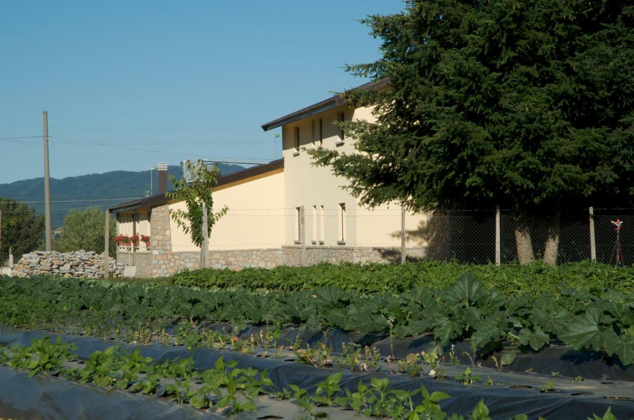 Agriturismo Fiorella Camigliatello Silano Zewnętrze zdjęcie