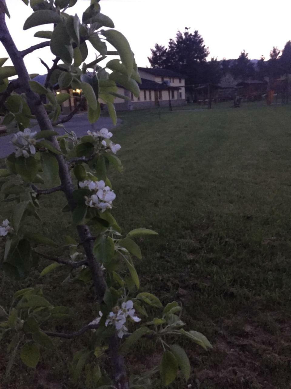 Agriturismo Fiorella Camigliatello Silano Zewnętrze zdjęcie