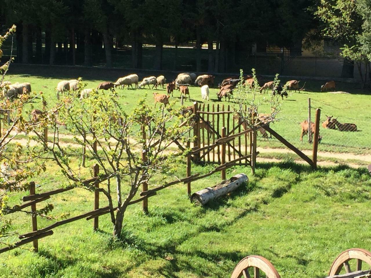 Agriturismo Fiorella Camigliatello Silano Zewnętrze zdjęcie