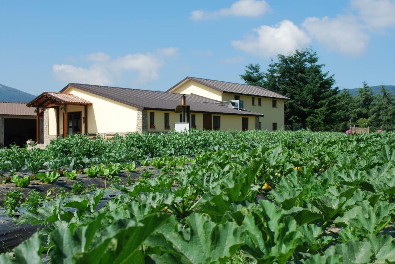 Agriturismo Fiorella Camigliatello Silano Zewnętrze zdjęcie
